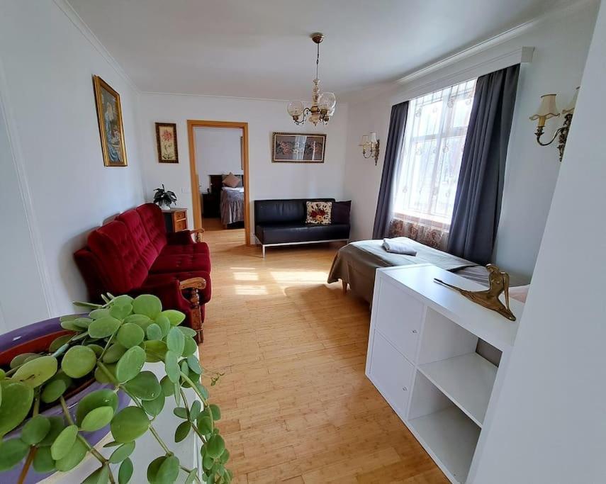 Spacious Apartment -Top Location آكيورِيْري المظهر الخارجي الصورة