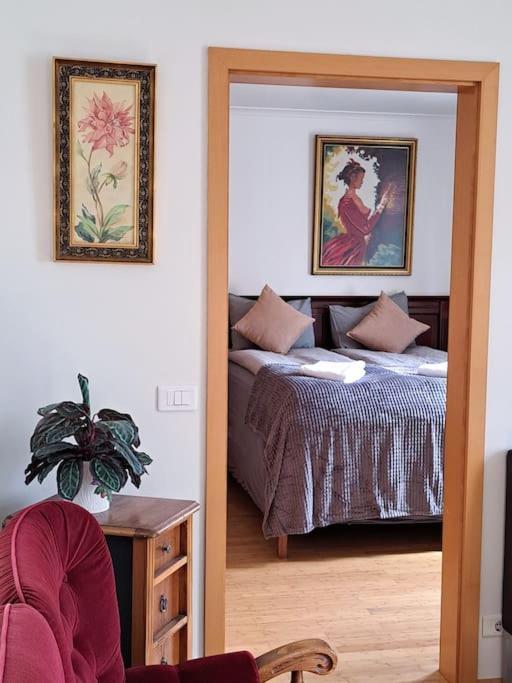 Spacious Apartment -Top Location آكيورِيْري المظهر الخارجي الصورة
